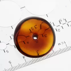 Donut shape Baltic amber pendant medallion