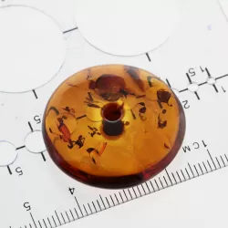 Donut shape Baltic amber pendant medallion