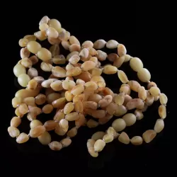 10 Raw Butter BEANS Baltic amber teething Baby bracelets 14cm