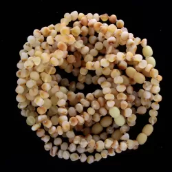 10 Raw Butter Baltic Amber Anklets 25cm