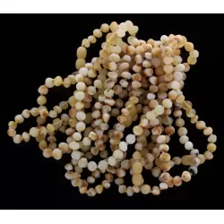 10 Raw Butter Baltic Amber Anklets 25cm