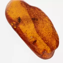 3 Flies inclusions in Baltic amber fossil stone