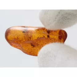 3 Flies inclusions in Baltic amber fossil stone