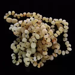 10 Raw Butter BAROQUE Baltic amber teething bracelets 14cm