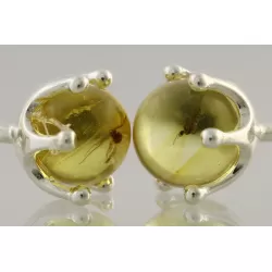 Fossil Studs Baltic amber Silver Earrings