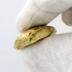 Baltic Amber Medallion pendant with hole