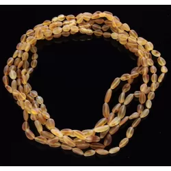 5 Raw Honey BEANS Baltic amber adult necklaces 50cm