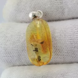 Free-shaped Baltic Amber Silver Pendant