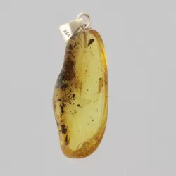 Free-shaped Baltic Amber Silver Pendant