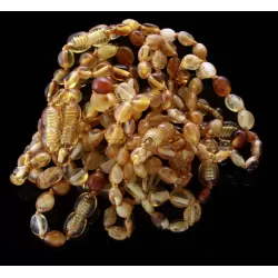 10 Mix BEANS Baltic amber teething Baby bracelets 14cm
