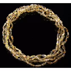 5 Honey BEANS Baltic amber adult necklaces 55cm