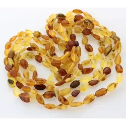 5 Raw Mix BEANS Baltic amber adult necklaces 52cm