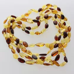 5 Multi BEANS Baltic amber adult necklaces 45cm