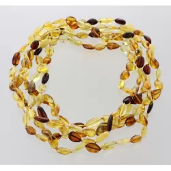 5 Mix BEANS Baltic amber adult necklaces 45cm