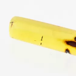 Natural Amber Pendant w Leather Cord