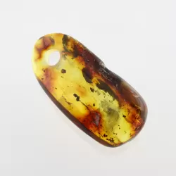 Natural Baltic Amber Hole Pendant
