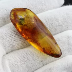 Natural Baltic Amber Hole Pendant