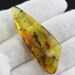 Natural Baltic Amber Hole Pendant