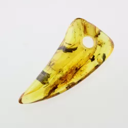 Natural Baltic Amber Hole Pendant