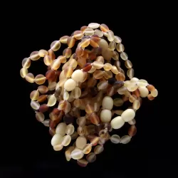 10 Raw Mix BEANS Baltic amber teething bracelets 15cm