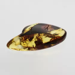 Natural Baltic Amber Hole Pendant