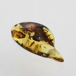 Natural Baltic Amber Hole Pendant