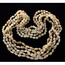 5 Raw Milk BEANS Baltic amber adult necklaces 65cm