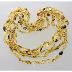 5 Mix BEANS Baltic amber adult necklaces 65cm