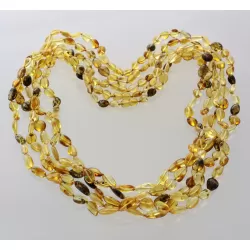 5 Mix BEANS Baltic amber adult necklaces 65cm