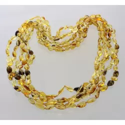 5 Mix BEANS Baltic amber adult necklaces 65cm
