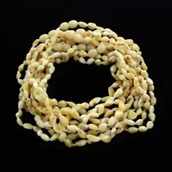 10 Milk BEANS Baby teething Baltic amber necklaces 33cm