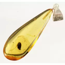 Nice beetle in Baltic amber fossil stone silver pendant