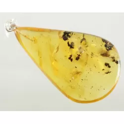 COCKROACH in Baltic amber fossil stone silver pendant