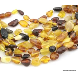 9 Multi BEANS Baltic amber adult wholesale necklaces