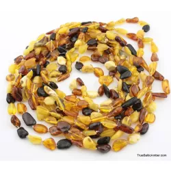 10 Multi larger BEANS Baltic amber adult wholesale necklaces