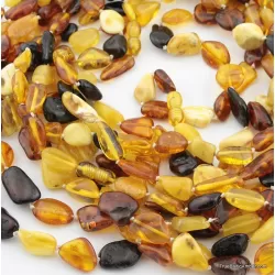 10 Multi larger BEANS Baltic amber adult wholesale necklaces