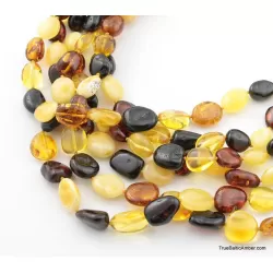 6 Multi larger BEANS Baltic amber adult wholesale necklaces