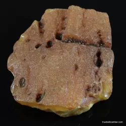 Antique butter large Baltic amber fossil 33g stone