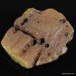 Antique butter large Baltic amber fossil 33g stone