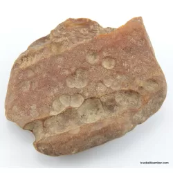 Massive genuine Baltic amber fossil stone 132g