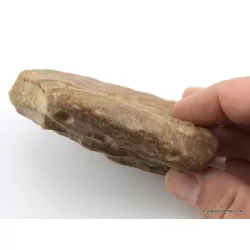 Massive genuine Baltic amber fossil stone 132g
