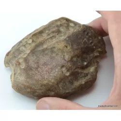 Massive genuine Baltic amber fossil stone 132g