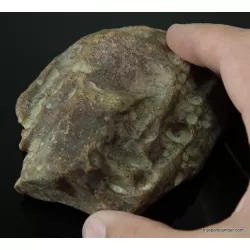 Massive genuine Baltic amber fossil stone 132g