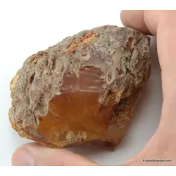 Massive genuine Baltic amber fossil stone 125g