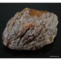 Massive genuine Baltic amber fossil stone 125g