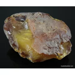 Massive genuine Baltic amber fossil stone 125g