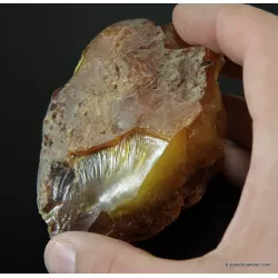 Massive genuine Baltic amber fossil stone 125g