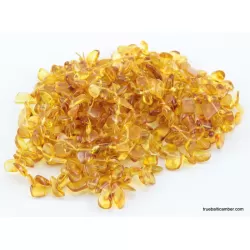 10 Honey Leave  Baltic amber elastic adult bracelets