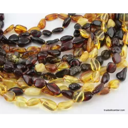12 BEANS Baltic amber adult wholesale necklaces