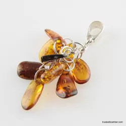 Dangling pieces Baltic amber pendant
